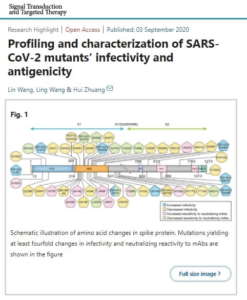 2020年9月3日 Signal Transduction ans Targeted Therapyのリンク画像です。