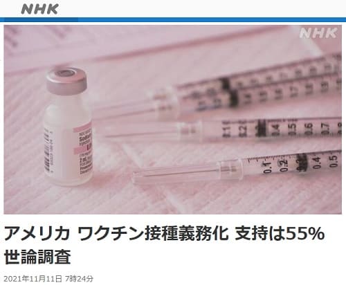 2021年11月11日 NHK NEWS WEBへのリンク画像です。