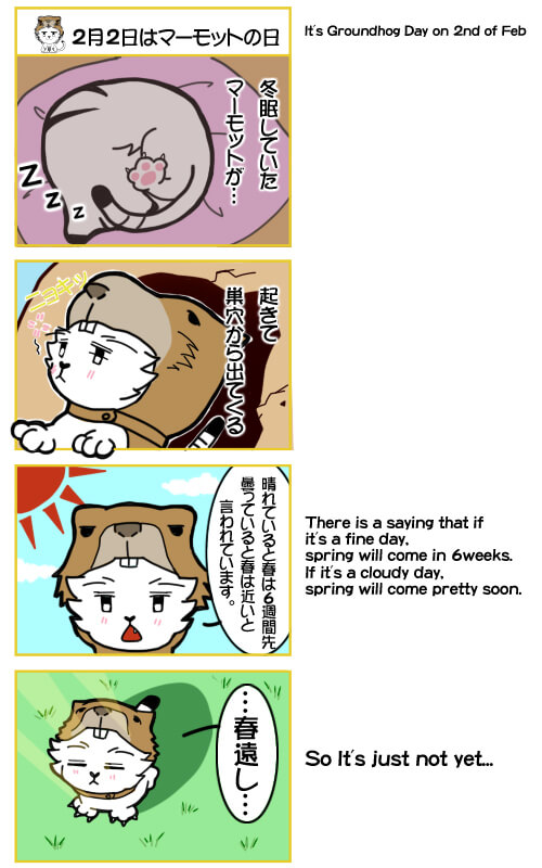 2月2日はマーモットの日