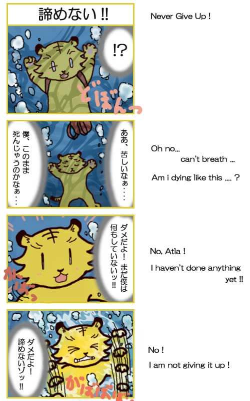 諦めない！！
