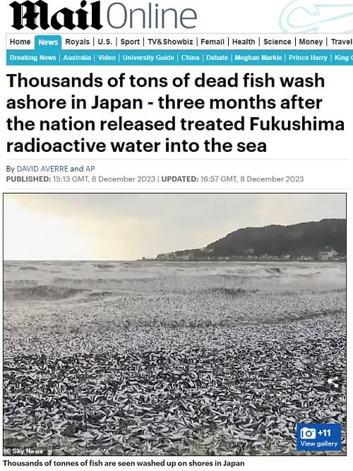 2023年12月8日 Mail Onlineへのリンク画像です。