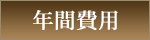 年間費用