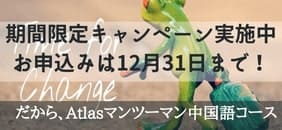 期間限定キャンペーン