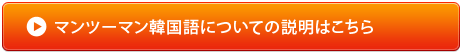 マンツーマン韓国語レッスンについての説明